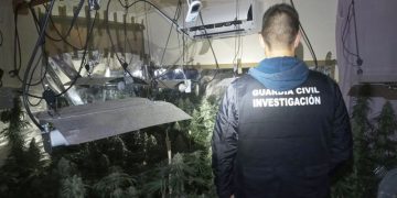 La Guardia Civil incauta 4.000 plantas de marihuana en Loja y Peligros