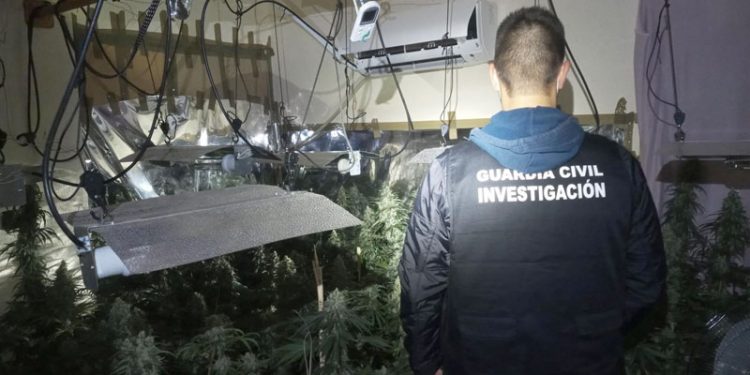 La Guardia Civil incauta 4.000 plantas de marihuana en Loja y Peligros 1 La Guardia Civil incauta 4.000 plantas de marihuana en Loja y Peligros