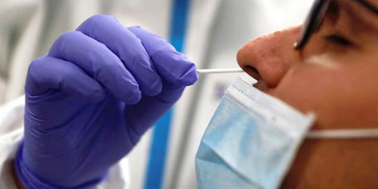 El precio de la PCR en Navidad, más caro que un kilo de percebes