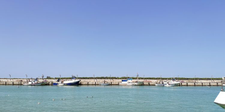 La subida del precio del combustible obliga a la flota pesquera andaluza a quedarse amarrada a puerto 1 La subida del precio del combustible obliga a la flota pesquera andaluza a quedarse amarrada a puerto