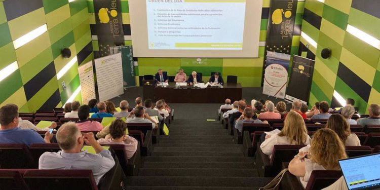 Las cooperativas agroalimentarias de Jaén aumentaron su facturación un 20% en 2021 1 cooperativas agroalimentarias de jaén