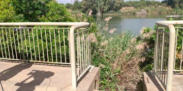 Detenido en Sevilla un hombre por la presunta autoría de la muerte de su expareja