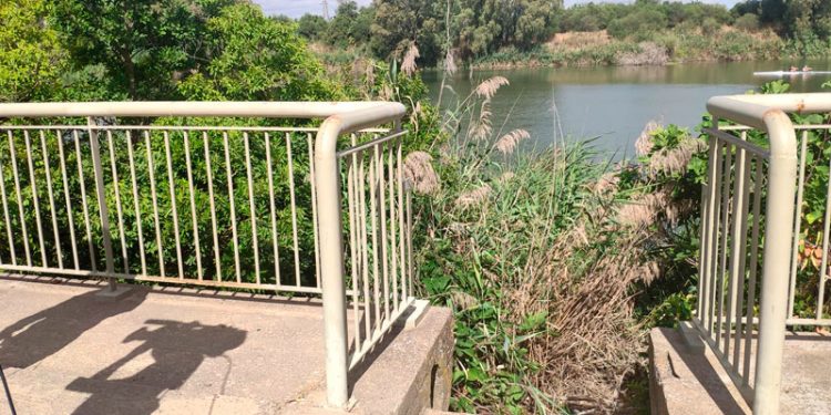 Detenido en Sevilla un hombre por la presunta autoría de la muerte de su expareja 1 Detenido en Sevilla un hombre por la presunta autoría de la muerte de su expareja