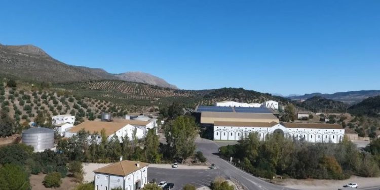 La DOP Priego de Córdoba consigue medallas para tres de sus aceites en el principal concurso del mundo 1 La DOP Priego de Córdoba consigue medallas para tres de sus aceites en el principal concurso del mundo