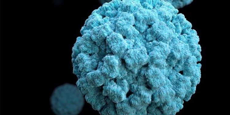 115 contagiados por una infección con diarreas en un hotel de Mojácar 1 115 contagiados por una infección con diarreas en un hotel de Mojácar