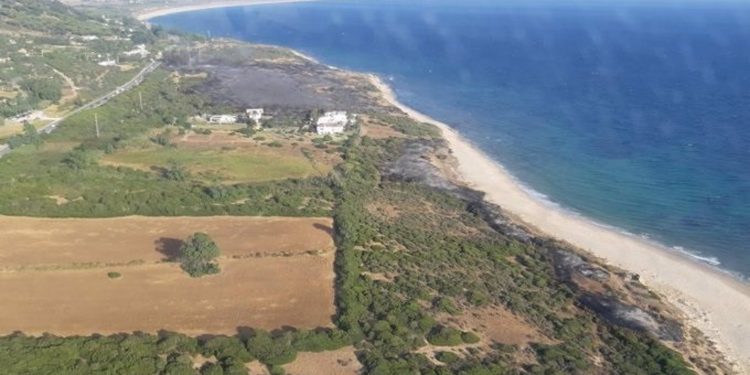 Extinguido el incendio de Valdevaqueros, en Tarifa 1 Extinguido el incendio de Valdevaqueros, en Tarifa