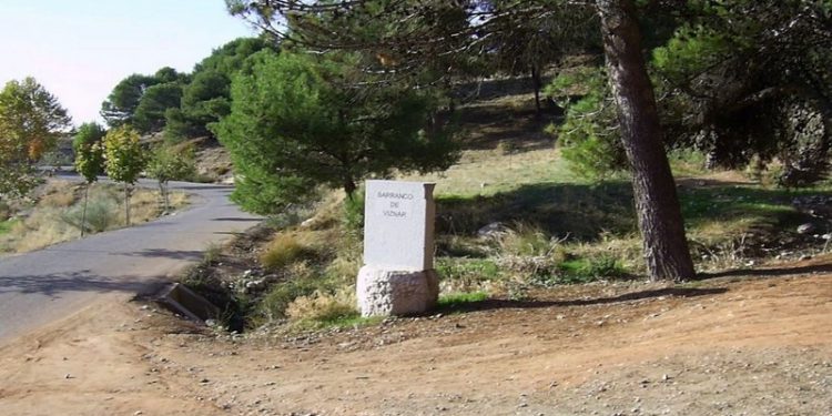 Siguen los trabajos en las fosas del barranco de Víznar con la exhumación de 49 víctimas 1 Fosas Barranco Víznar Granada
