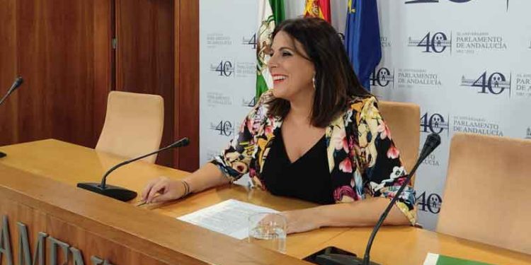El PSOE-A planteará un paquete de medidas de apoyo a las familias y la economía andaluzas 1 angeles ferriz psoe andalucia