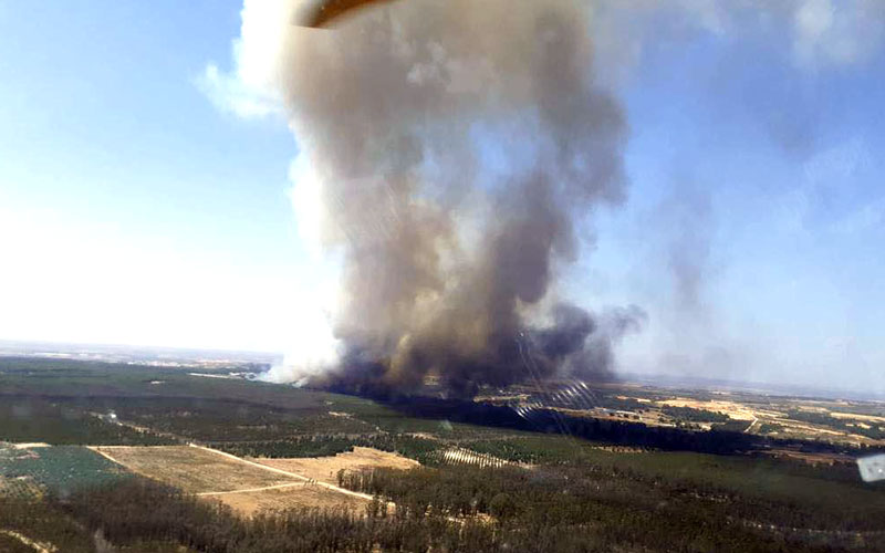 El Gobierno de España aprueba la declaración de zona catastrófica en cinco territorios andaluces afectados por incendios