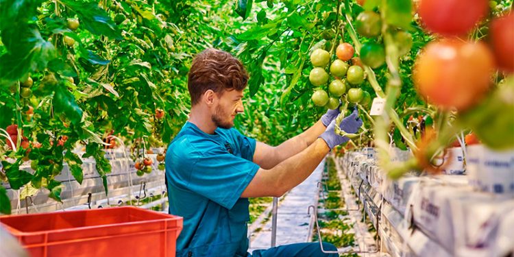 COAG Andalucía exige más fondos para modernización de explotaciones agrícolas 1 modernizacion coag andalucia