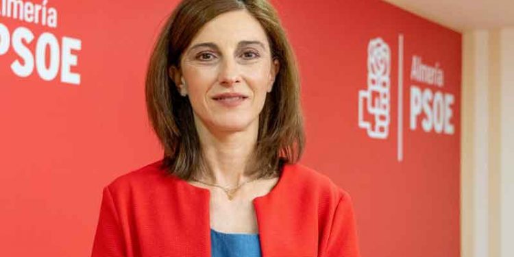 pilar navarro psoe andalucia