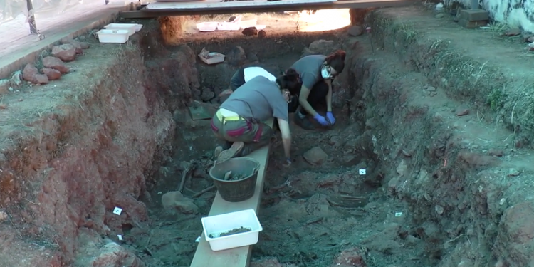 La Universidad de Córdoba organiza un ciclo de cine por la Memoria Democrática 1 Trabajos Fosa Común Franquismo